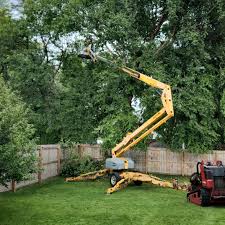 Trusted Taylor, AZ Tree Removal and Landscaping Services Experts